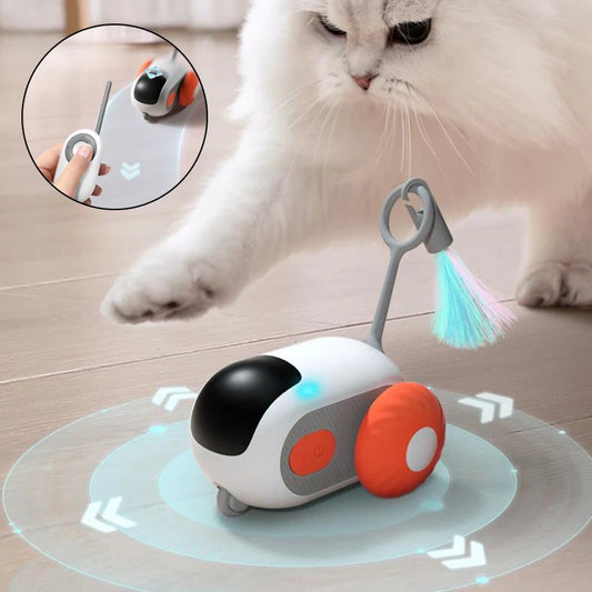 CatZoomer