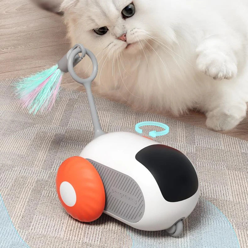 CatZoomer